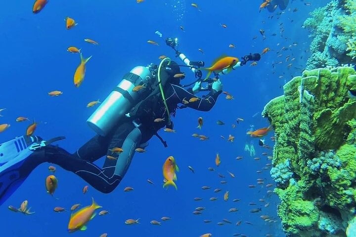 Coral Garden Two Dive Boat Trip in Marsa Alam, photo 3
