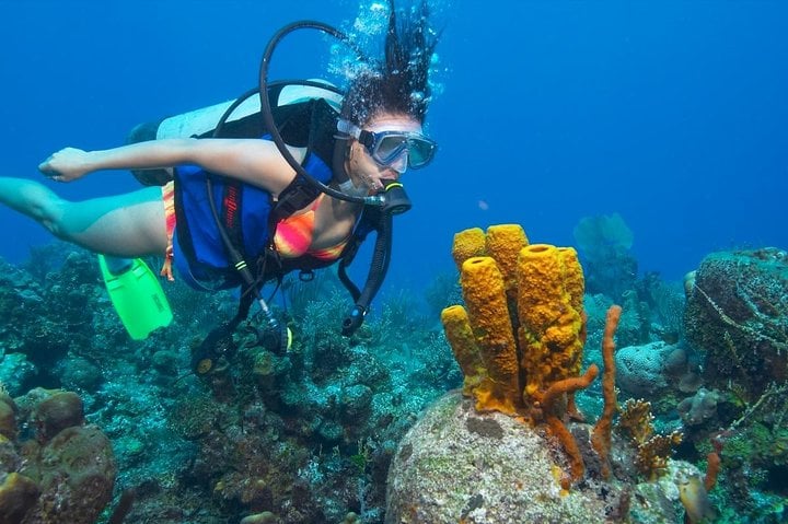PADI Open Water in Hurghada, photo 4