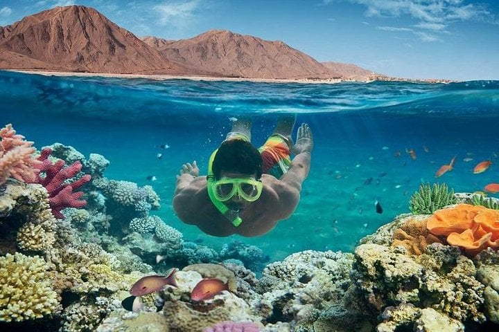 Dolphin House Snorkel with Drinks in Marsa Alam, photo 2