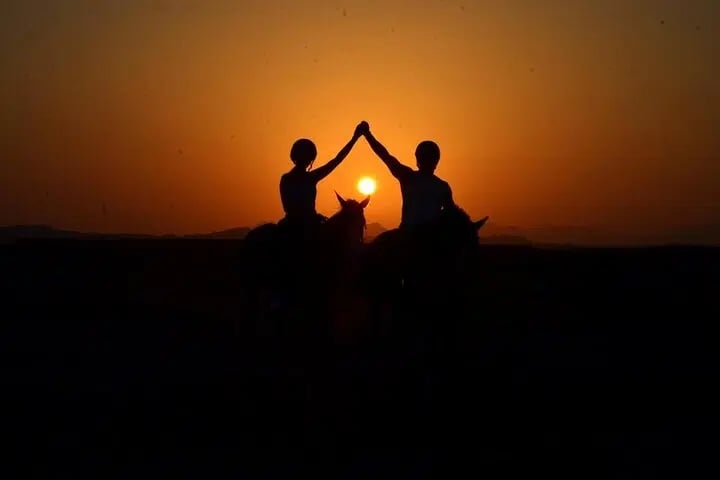 2 Hours Horse Riding with Swimming Option from Marsa Alam, photo 3