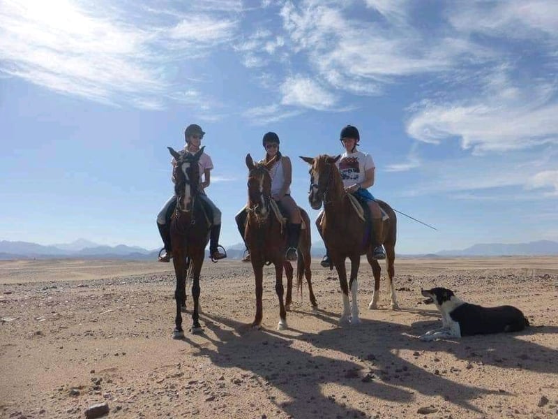 Horse Riding on Desert and Beach in Hurghada, photo 3