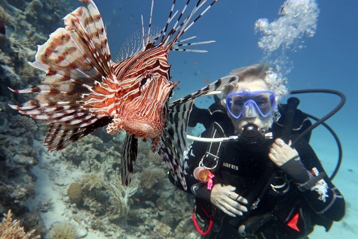 Scuba Diving Adventure in Dubai, photo 3