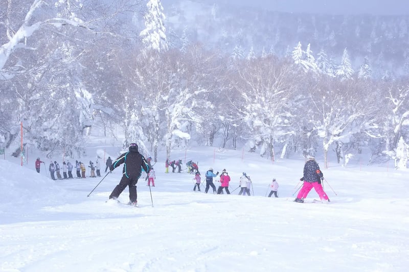 Sapporo Ski and Snowboard Day Tour, photo 4