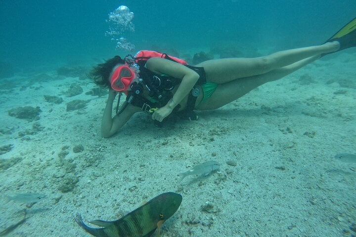 Try Scuba and Snorkelling in Fujairah, photo 3