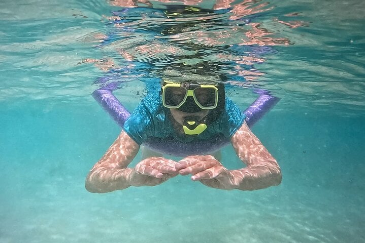 Two-Stop Shore Snorkel Trip in Bonaire, photo 2