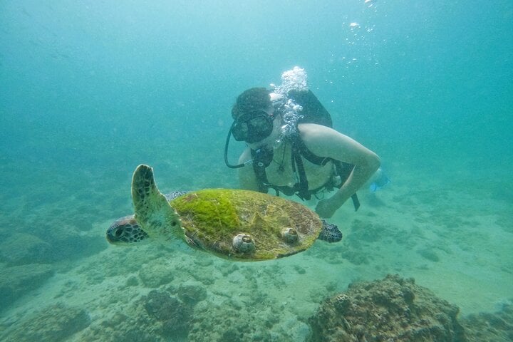 Try Scuba and Snorkelling in Fujairah, photo 2