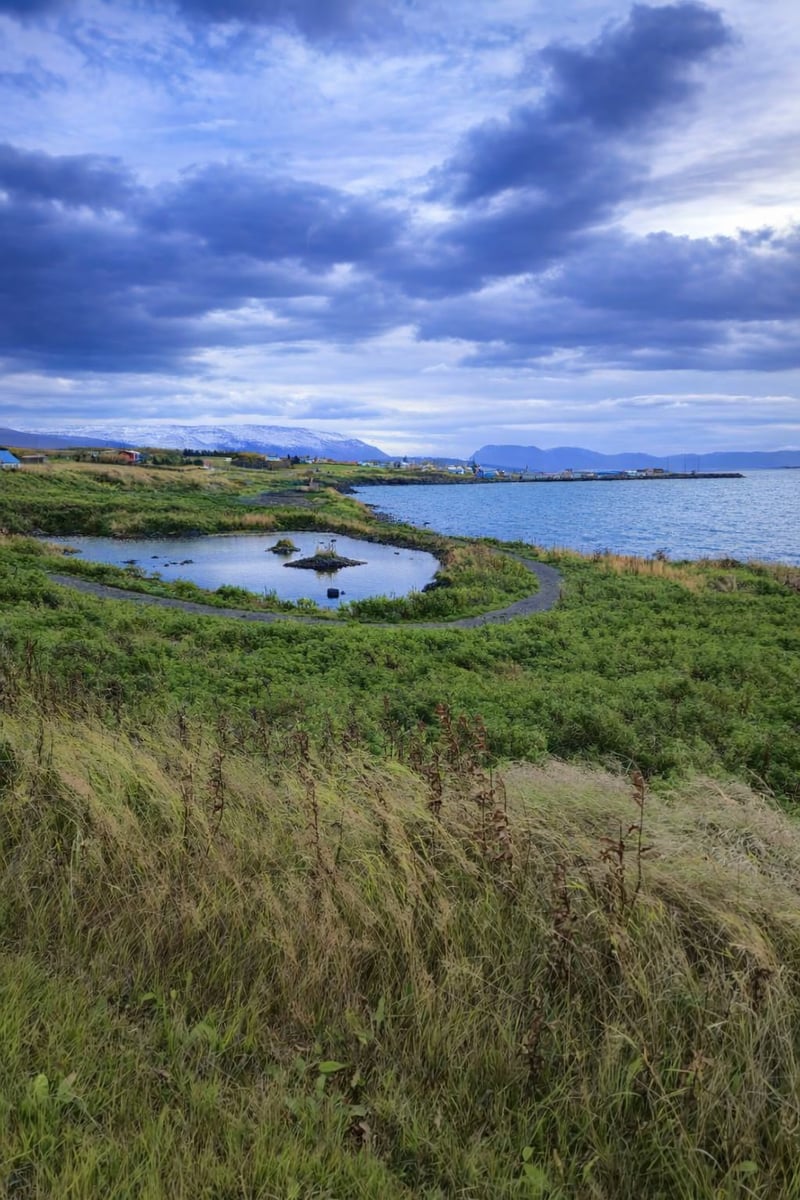E-Mountain Biking on Hrisey Island, photo 2