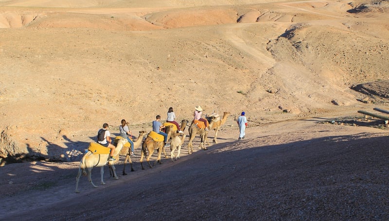 Quad and Camel Ride in Agafay Desert, photo 2
