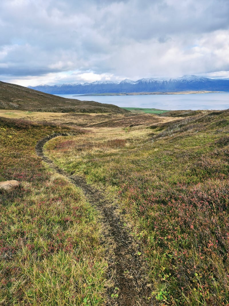 Greatest Hits E-Mountain Biking in Dalvik, photo 4
