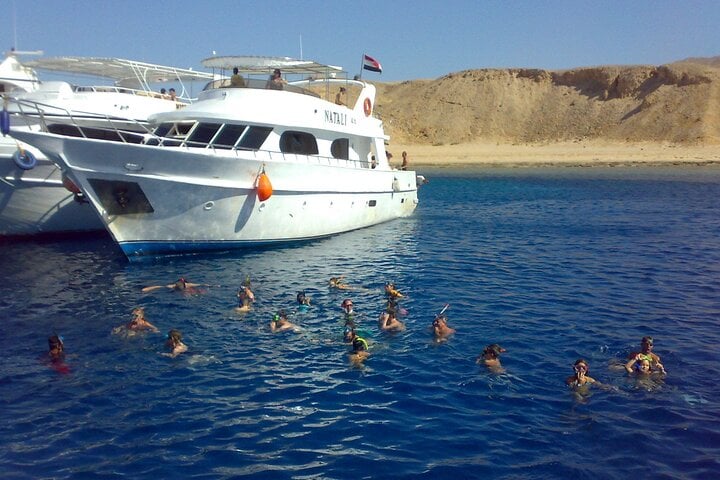 Tiran Island Snorkel and Intro Dive in Sharm El Sheikh, photo 5