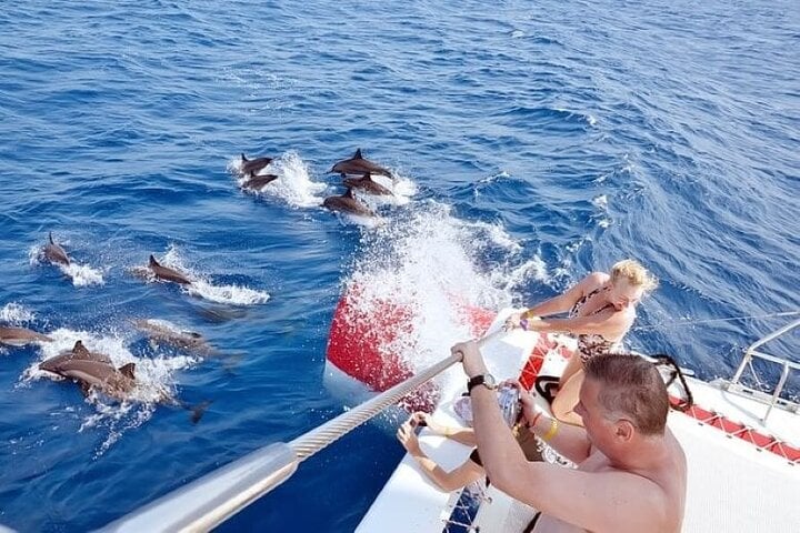 Dolphin House Snorkel in Marsa Alam, photo 5