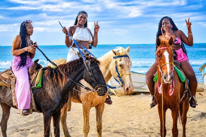 Monkey Sanctuary and Horseback Ride in Punta Cana, photo 3