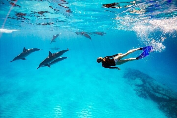 Dolphin House Snorkel in Marsa Alam, photo 2