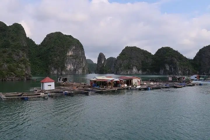 2 Day Lan Ha Bay Cruise with Plankton Kayak in Cat Ba, photo 5