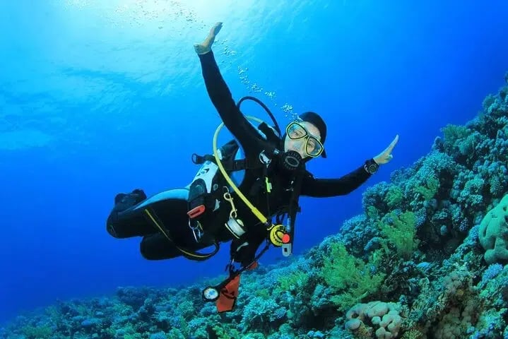 Intro Beach Dive with Transfer from Sharm El Sheikh, photo 5