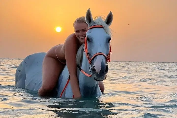 2 Hours Horse Riding with Swimming Option from Marsa Alam, photo 5