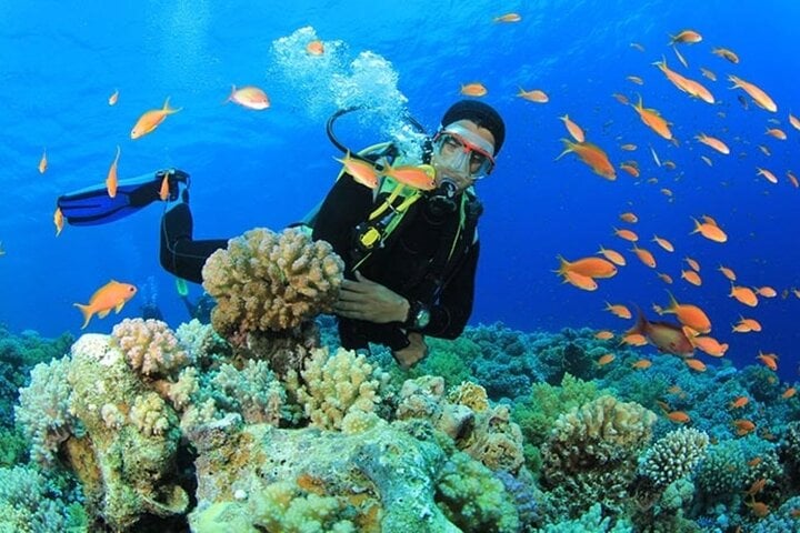 Beginner Scuba Day with Lunch in Sharm El Sheikh, photo 2
