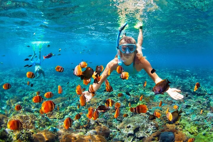 Snorkelling and River Tubing in Montego Bay, photo 4