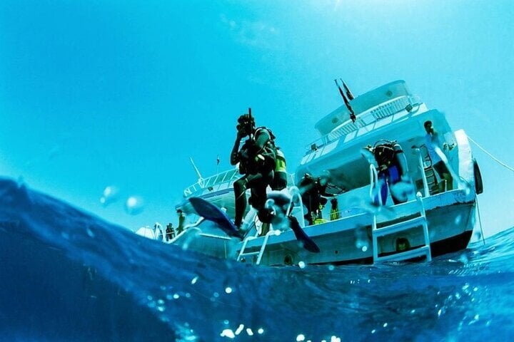 Daily Boat Diving with Lunch in Sharm El Sheikh, photo 5