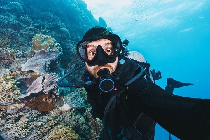 PADI Advanced Open Water in Marsa Alam, photo 4