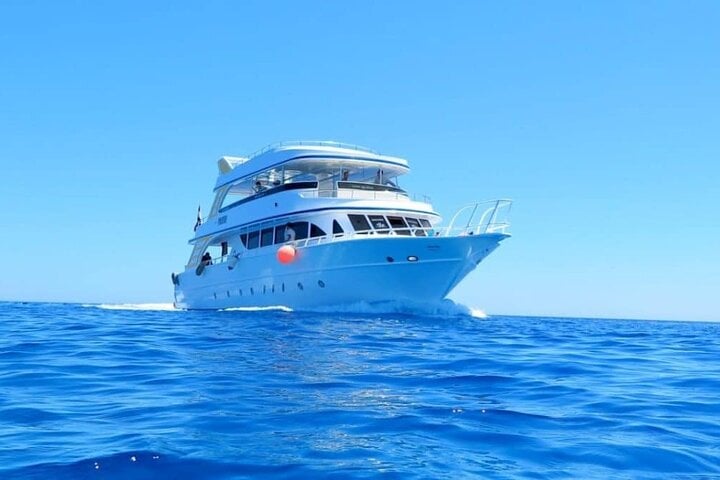 Dolphin House Snorkeling Cruise with Lunch in Hurghada, photo 2