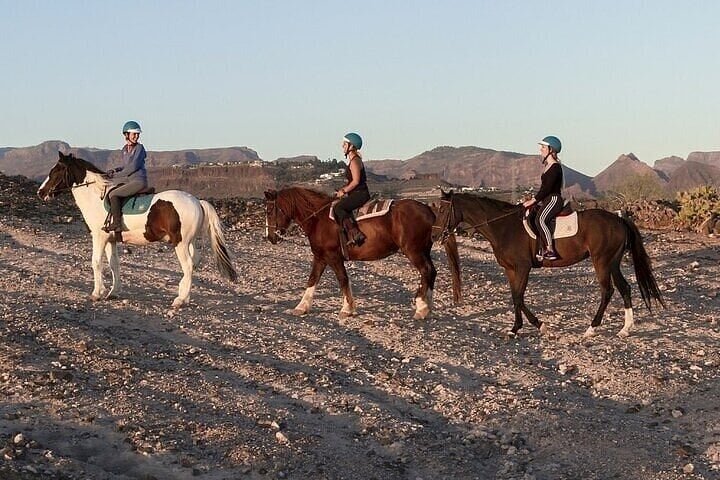 Desert Horse Ride in Agadir, photo 2