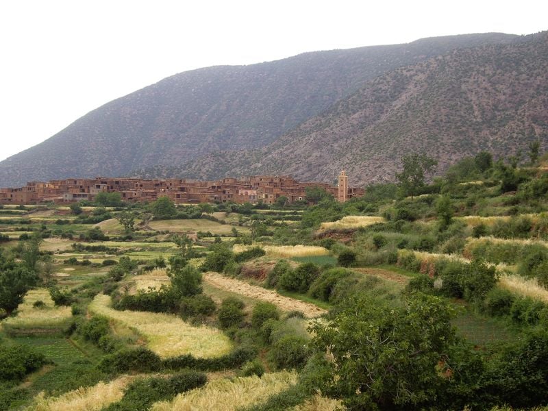 Guided Trek in Zat Valley, photo 5