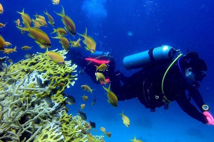 Coral Gardens Snorkel and Dive in Marsa Alam, photo 5