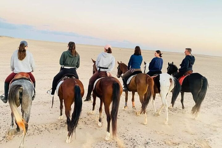 Desert Horse Riding in Marsa Alam, photo 5