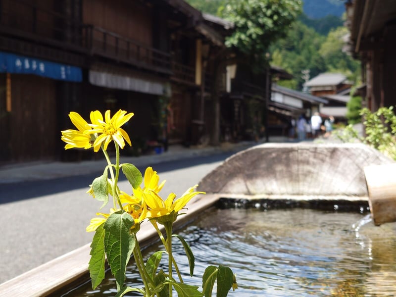 Nakasendo Trail Day Hike from Matsumoto, photo 4