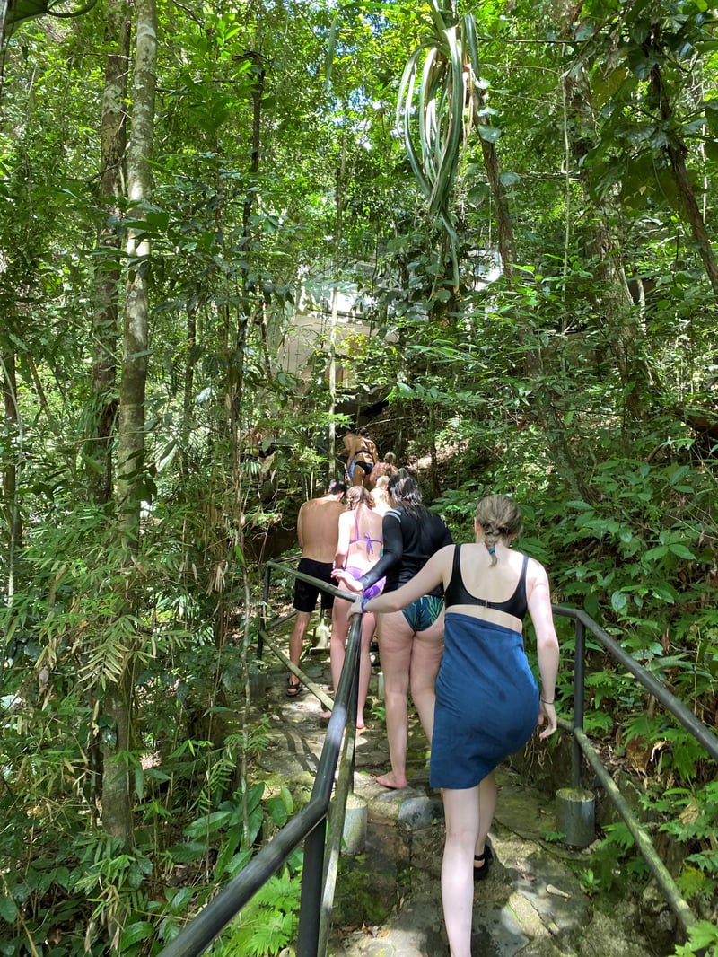 Rainforest Waterfall Day Tour in Belize, photo 2