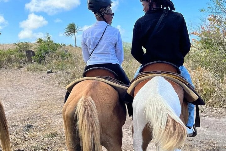 Horseback Ride in St Kitts, photo 3