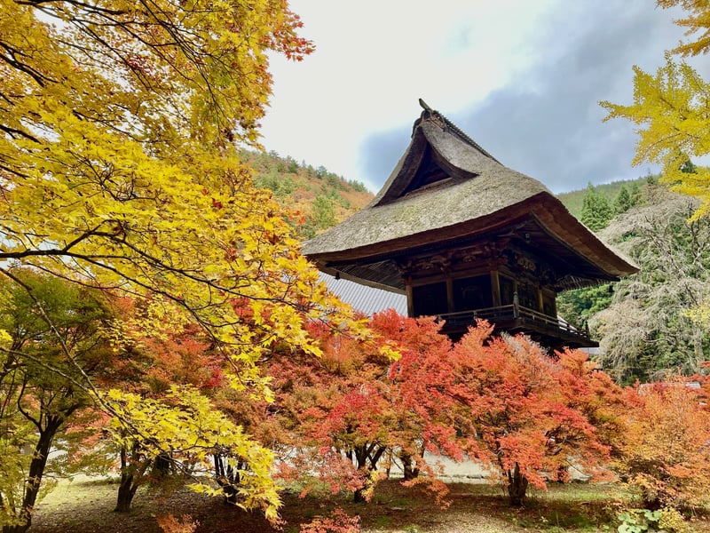 Happo-ike Pond Guided Hike from Nagano, photo 5