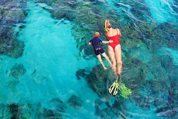 Coral Gardens Snorkel in Marsa Alam, photo 3
