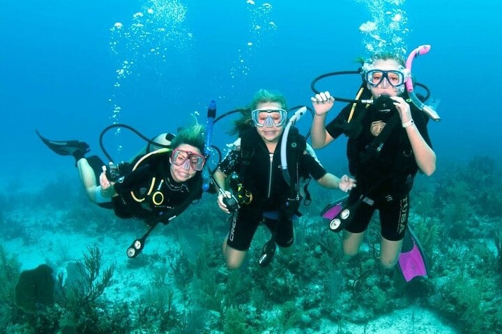 PADI Open Water in Sharm El Sheikh, photo 4