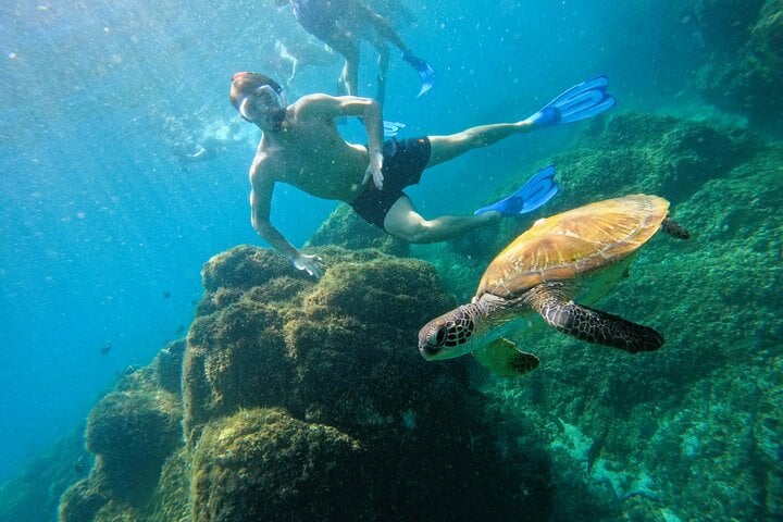 Snorkelling with Turtles in Fujairah with Transfers, photo 2