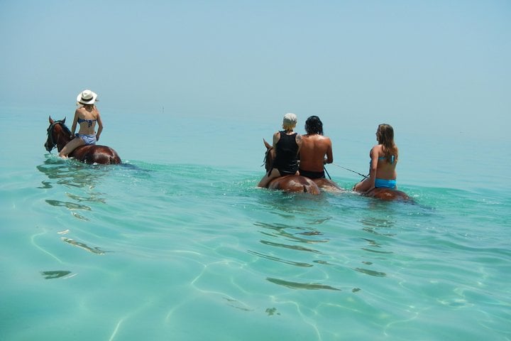 Horse Swim and Desert Ride in Hurghada, photo 3