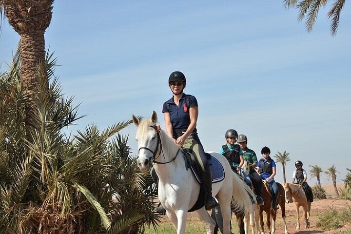 Two Hour Horse Ride in the Palmeraie, photo 4