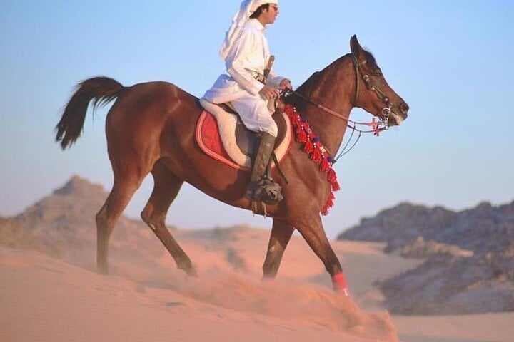Desert Horse Ride in Sharm El Sheikh, photo 4