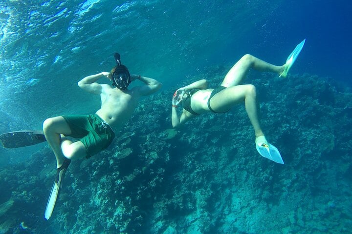 Private Speedboat Snorkel in Sharm El Sheikh, photo 5