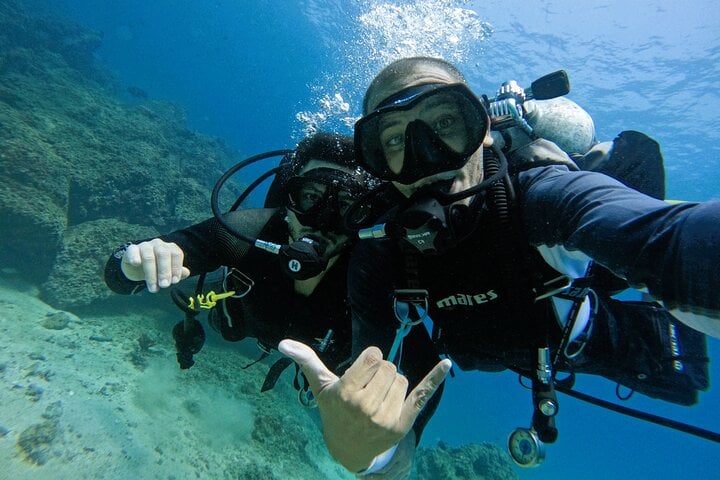 From Abu Dhabi: Two Certified Dives in Fujairah, photo 3