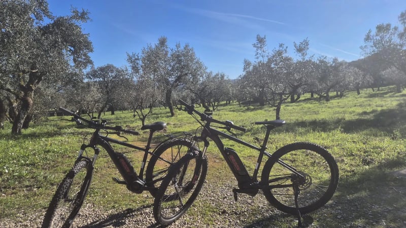Private Fátima E-Bike Tour, photo 5