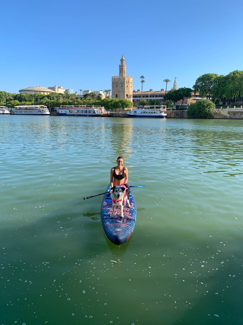 SUP with Dog in Seville, photo 2