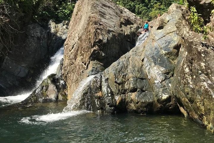 Half-Day El Yunque Rainforest Hike and Waterslide in Fajardo, photo 3