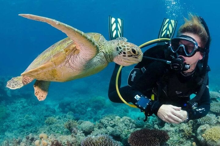 Hamata and Qulaan Islands Diving Day in Marsa Alam, photo 3