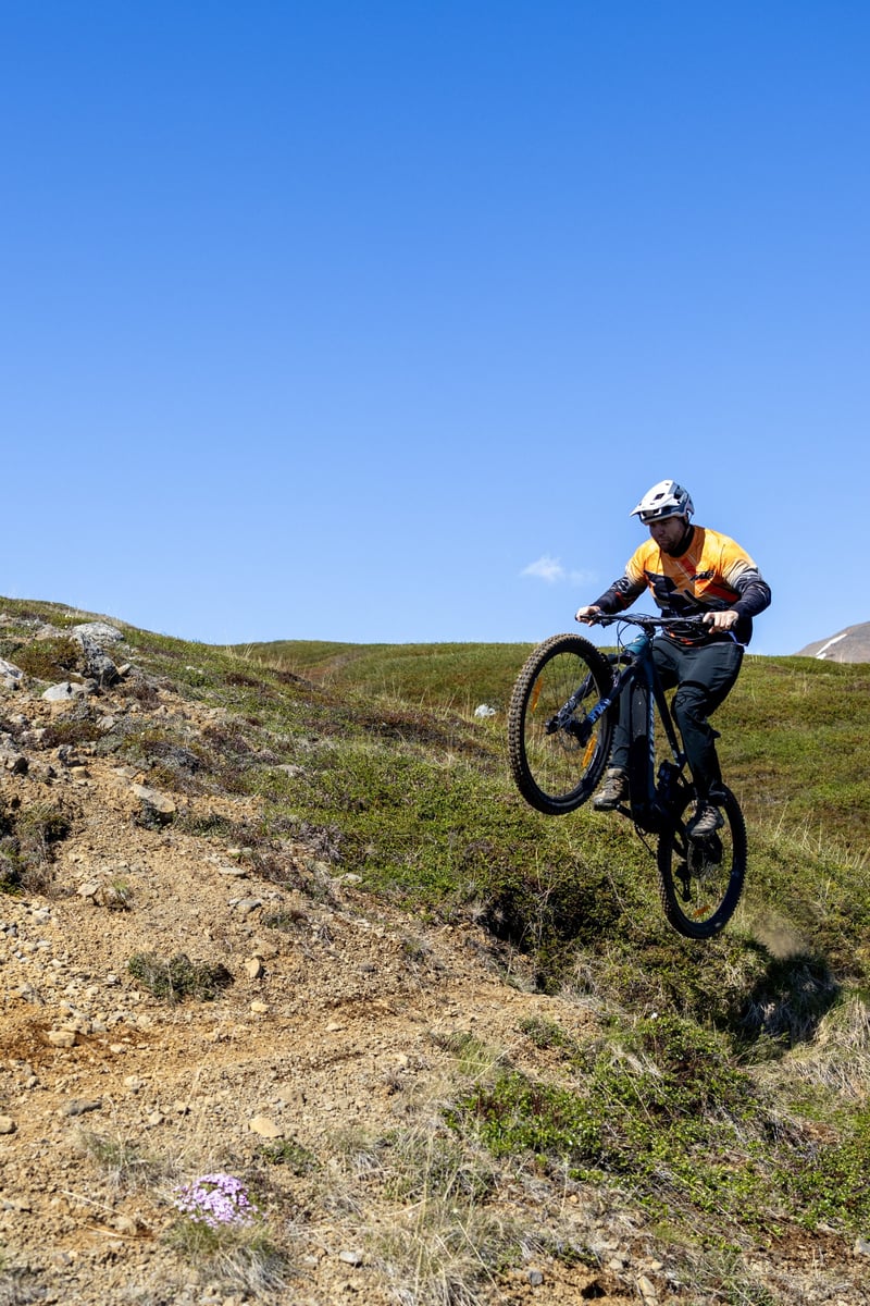 Taste of E-Mountain Biking Session in Dalvik, photo 3
