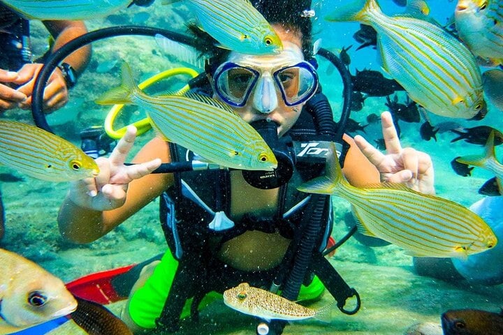 Scuba Diving Adventure in Alanya, photo 4