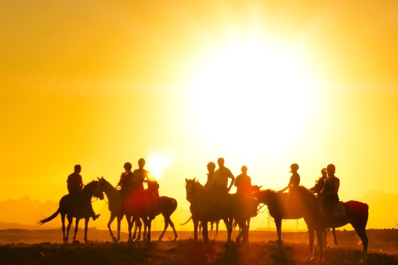 Horse Riding with Transfer in Hurghada, photo 4