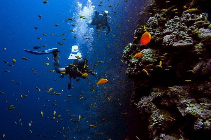 Discover Scuba Dive in Dubai, photo 4