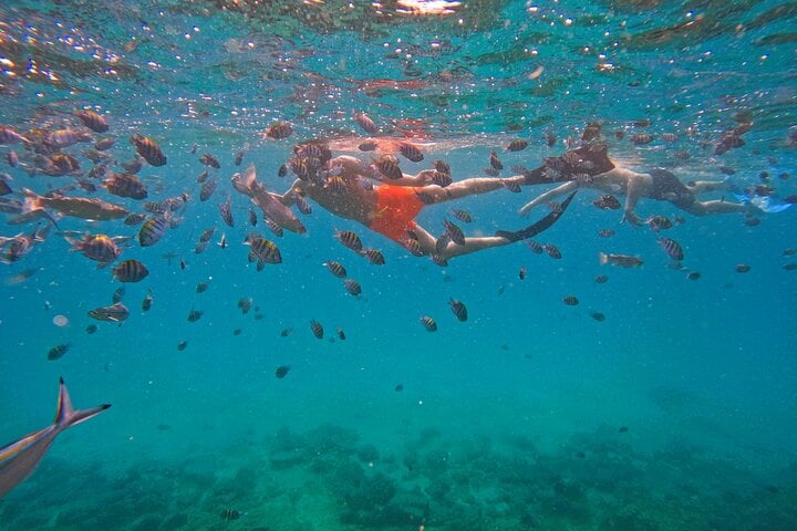 From Abu Dhabi: Snorkelling with Turtles and BBQ in Fujairah, photo 2
